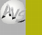 logo04_05_tolerance_200_x2.png