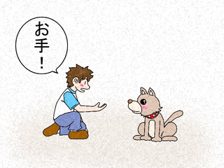 aufilters_after_filtering.png
